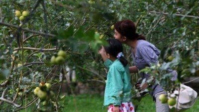 paket wisata malang batu city tour